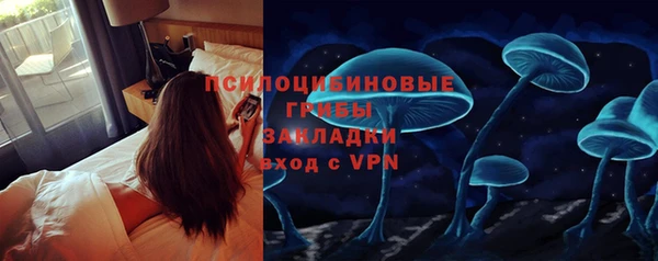 молекула духа Каменногорск