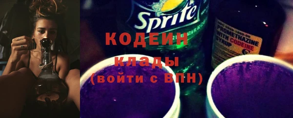молекула духа Каменногорск