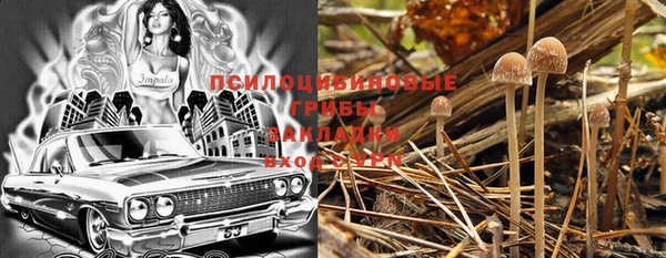 мяу мяу мука Каменск-Шахтинский