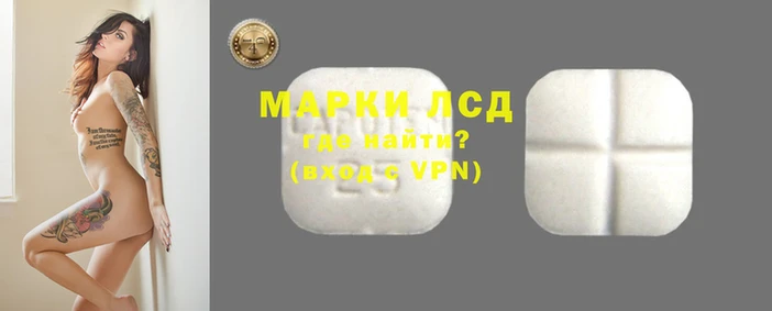 молекула духа Каменногорск