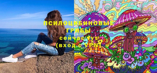 молекула духа Каменногорск